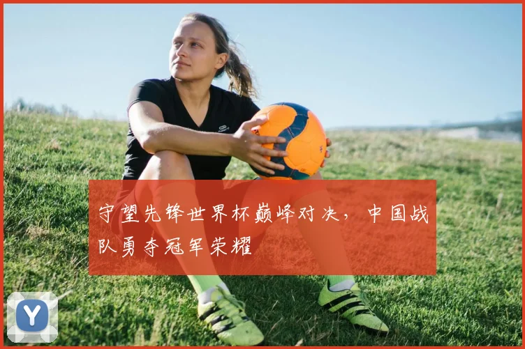 守望先锋世界杯巅峰对决，中国战队勇夺冠军荣耀