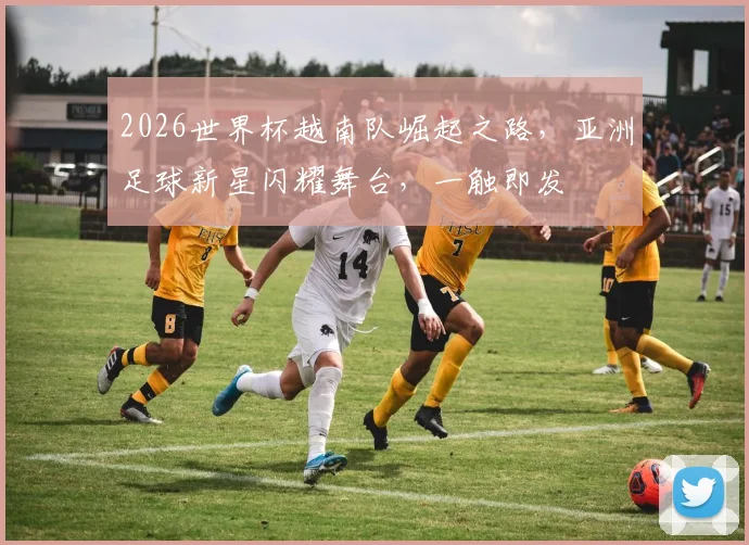 2026世界杯越南队崛起之路，亚洲足球新星闪耀舞台，一触即发
